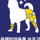 은해보조기 이미지