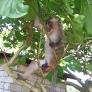 우리돈농장 이미지