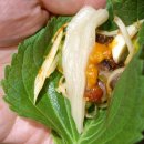 더육공소 이미지