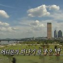 H.K TOWER | 얼렁뚱땅 홍콩여행 ᵔᴗᵔ