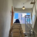 멜트그라운드 이미지