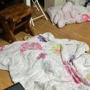포포즈 반려동물 장례식장 경기광주점 | 희망이와 보낸 마지막 날, 반려동물 장례식장 포포즈 광주점 후기