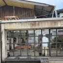 뭉뭉이네 | 치앙마이 올드타운 3대커피 꼭 가봐야 할 카페 그래프카페 후기