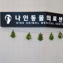 나인동물의료센터 이미지