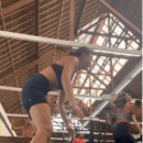 크로스핏 정글 이미지