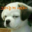 같이 이미지