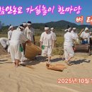 함안농요 티스토리