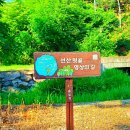 선산뒷골 체육공원 화장실 | 구미 선산 뒷골 체육공원