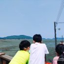 쥬라기카라반 이미지