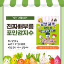 한우리식품 | 안락한우리/초6. 《교양꿀꺽 우리는 왜 살이 찌는 걸까? 》 논술 수업 후기
