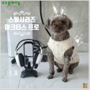 클릭넷(군자) | [내돈내산] 스틸시리즈 아크티스 프로 게이밍 무선 헤드셋 사용 후기 feat 오디지 펜로즈