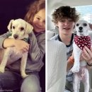 댕댕이 미용실 이미지