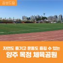 옥정체육공원 축구장 이미지