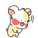 솔바람 파도소리 이미지