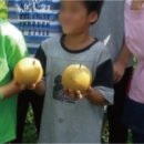 란두리 덕동마을 이미지