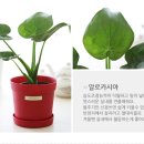 가훼