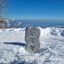 [출발-평창] 백두대간 능경봉과 아름다운 숲길(1/18 토요일) 이미지