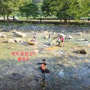 제270차 정기산행및 야유회 이미지