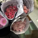 화훼장식기능사 | 2025 화훼장식기능사 실기시험후기_우당탕당 당일 기록 ver