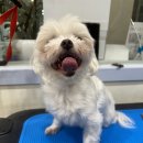 Mong's(몽'스) 이미지