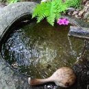 소소팔팔 이미지