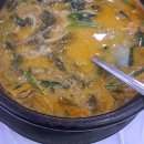 신양 벚꽃길 이미지