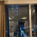 이마트24(호텔스카이파크송도점) 이미지