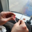 정종보 | 케리비안 베이 로시즌 후기 주차, 예매 정보 (식당 후기) 내돈내산