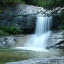 보련산 농장 이미지