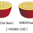 체리코나