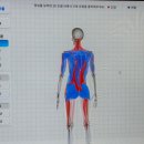 두루두루한끼 | 신용산역 1:1 필라테스 추천 루필라테스