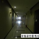 우림필유정문 이미지