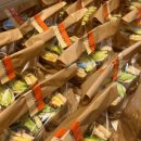 레이지모닝 이미지