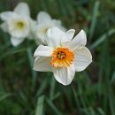 길행정사사무소 이미지