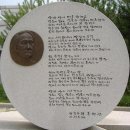 초심으로 돌아갑시다(155)/ 시와 연애하는 법 22-안도현 / 박봉우 시 한 편 이미지