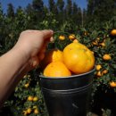 상창농장 이미지