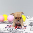 구월2동-16 이미지