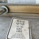 목포역 근처 카페 반려동물 동반가능 구움과자 맛집 카페 온후