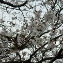 홍성 오서산공영주차장 이미지