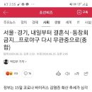 서울.경기, 내일부터 결혼식.동창회 금지.. 프로야구 다시 무관중으로 이미지