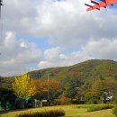 마가미술관 이미지