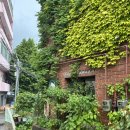 씨유 영도 중리점 | (부산/영도)부산카페 영도카페 리케이온 LYKEION 내돈내산 리뷰