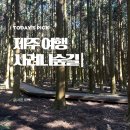 제이사려니숲길