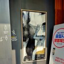 섬, 꾸지 seom, kkuji | 섬꾸지 SEOM KKUJI