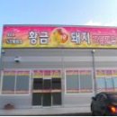 황금게임장 이미지