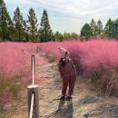 드림파크 야생화 꽃축제 이미지