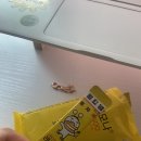 배티농장 이미지