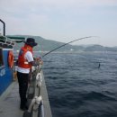 대성기업 이미지