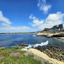 라호야(LA JOLLA) | 샌디에이고 라호야 코브 (La Jolla Cove) 비치 방문 후기