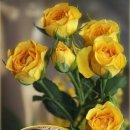 아리랑활력무 이미지